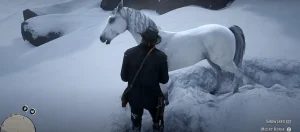 اکانت قانونی بازی red dead redemption